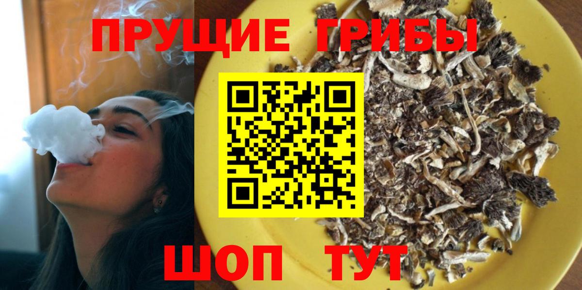 Псилоцибиновые грибы GOLDEN TEACHER  Вход с VPN  Невинномысск  Галлюциногенные грибы мицелий 